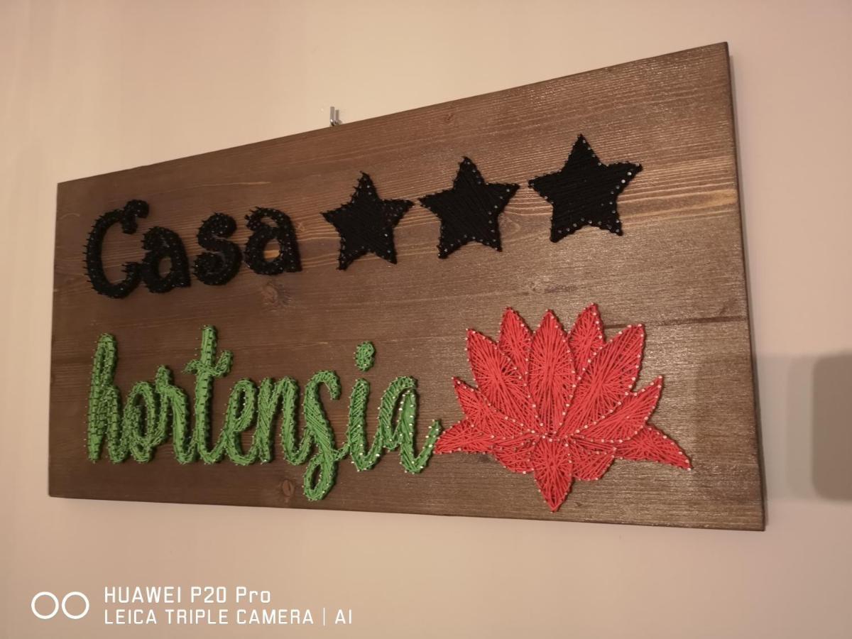 Casa Hortensia Tasnad Exterior foto